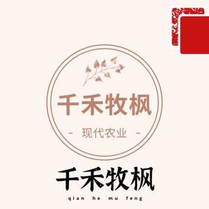 青岛千禾牧枫现代农业发展有限公司头像