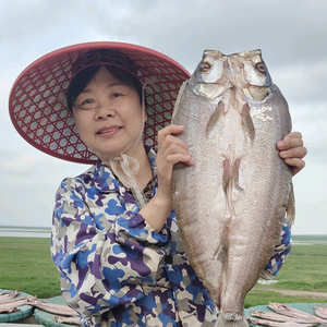 尹婆婆风干鱼头像