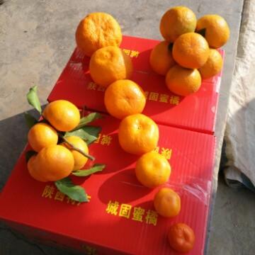 往事如风风过烟灭头像