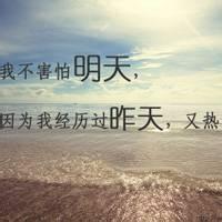 排球小平头像