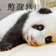 陌念念不忘头像