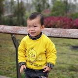 清风伴我闯荡头像