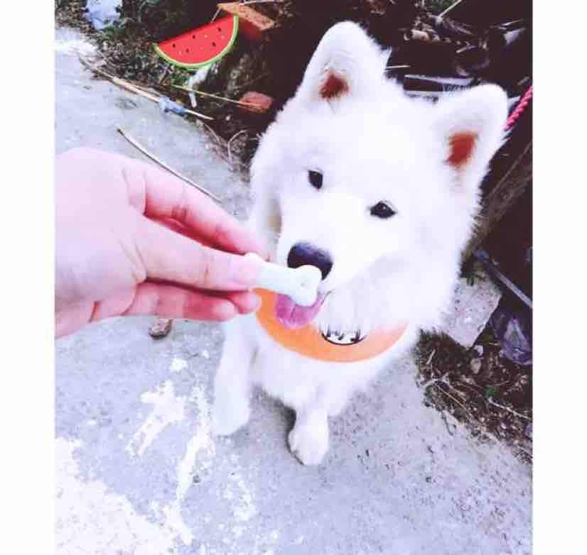 开大G的宏光头像