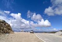 窝窝伴我回家头像