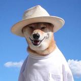 东区卖车刘德滑头像