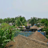 Tái xuất hiện头像