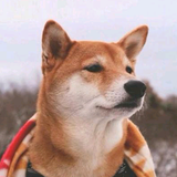 梦头像