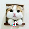 用户6342010964840头像