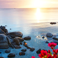 西安进口车磊哥头像