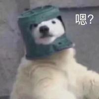 用户1279429006074279头像
