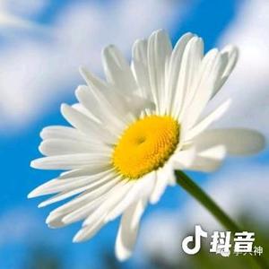 江山如画sjy77头像