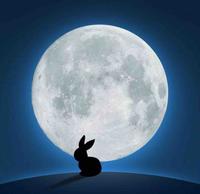 谁的成长.不受伤头像