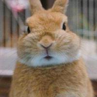 小贤48553206头像