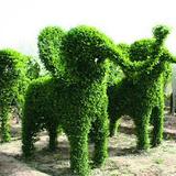 用户4588079587头像