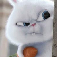 逆流126547036头像