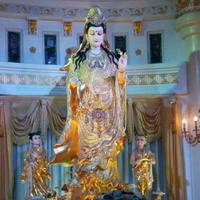 爱看笑话3658头像