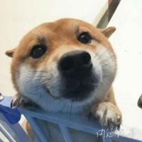 思域22款车主头像