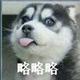灬李小贱头像