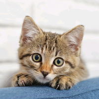 用户5690254571734头像