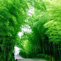 鼓舞前行头像