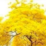 我叫不知道我是谁头像