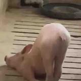 躲起来471头像