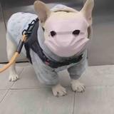 ☀头像