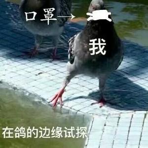 鱼儿不皮头像