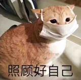 喜欢小黑的每一天头像