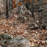 用户8578967290004头像