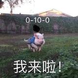无定河边心已定头像