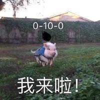 无定河边心已定头像
