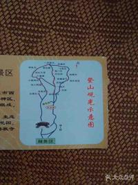 LV的煎饼果子头像