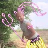 北辰枫99头像