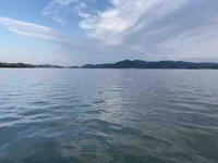 向阳花哦头像