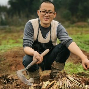 无忧的橙子uY头像