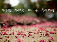 垃圾风行真不行头像