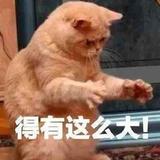 永远Forever588头像