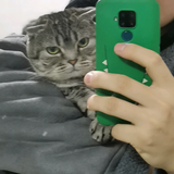 眯眯眼都是怪物头像