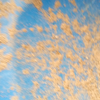 用户5814801204231头像