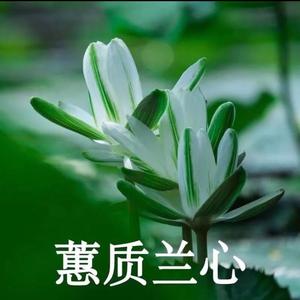 无忧的精灵1头像