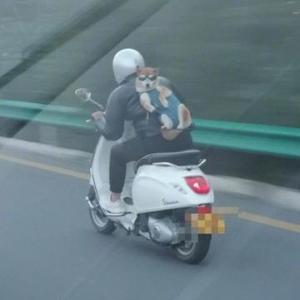青木杨588头像