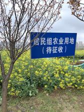 活泼饼干0K6头像