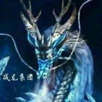 战龙集团DBS005头像