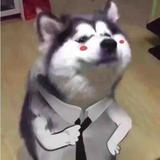无趣哥哥头像