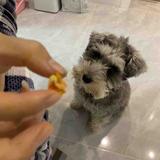 小祈007110头像
