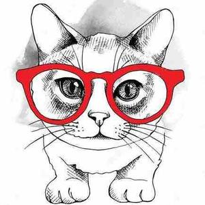 猫视眼镜头像
