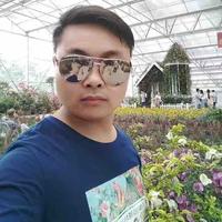 凯哥是新手头像