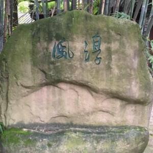 打死不是我头像