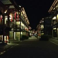 小猪达人头像